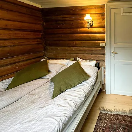 Timber With Ski-in Access At Solheisen