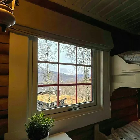 度假居 Timber With Ski-in Access At Solheisen 海姆瑟达尔