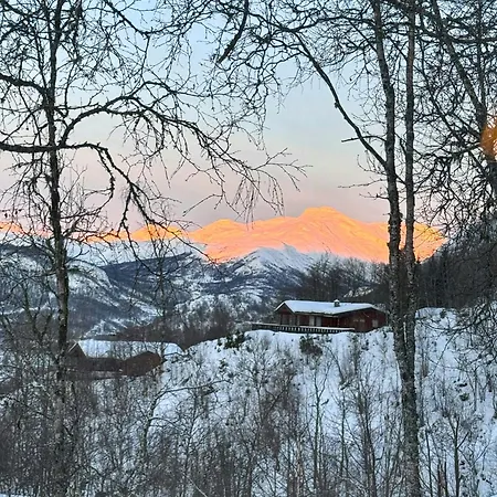 Timber With Ski-in Access At Solheisen * Hemsedal