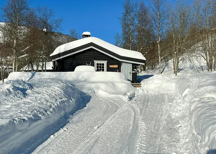 Timber With Ski-in Access At Solheisen Holiday home *