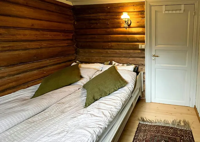 Timber With Ski-in Access At Solheisen