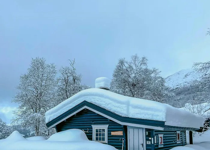 Timber With Ski-in Access At Solheisen 度假居