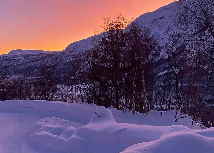 Timber With Ski-in Access At Solheisen Hemsedal