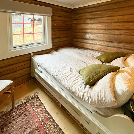 Timber With Ski-in Access At Solheisen *