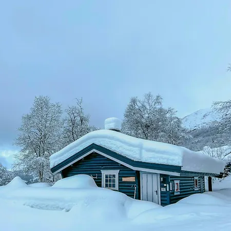 Timber With Ski-in Access At Solheisen Tatil Evi