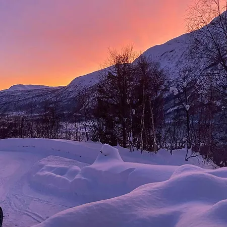 Timber With Ski-in Access At Solheisen Hemsedal